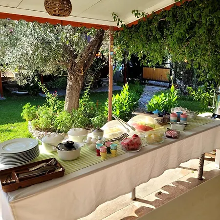 Oda ve Kahvaltı Kuruyanos Agac Evleri