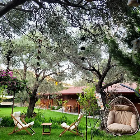 Kuruyanos Agac Evleri Oda ve Kahvaltı Datça