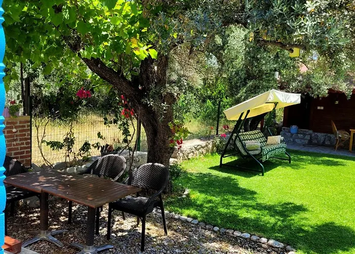 Kuruyanos Agac Evleri *