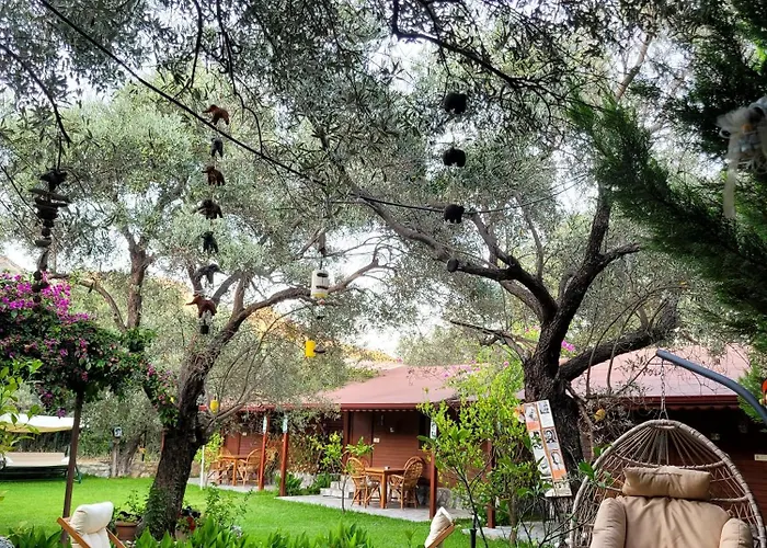 Kuruyanos Agac Evleri Bed and Breakfast Datca