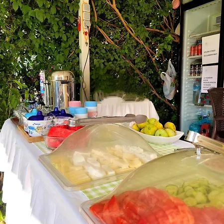 Bed & Breakfast Kuruyanos Agac Evleri