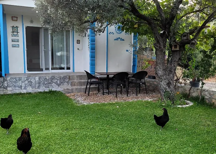 Alojamento de Acomodação e Pequeno-almoço Kuruyanos Agac Evleri *